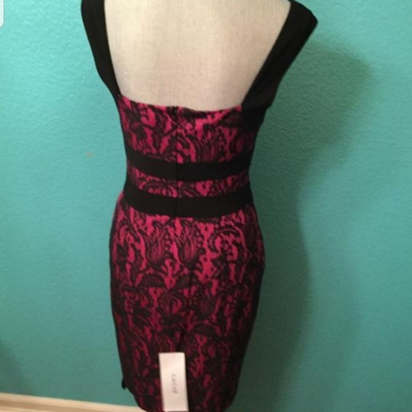 Cache Dress - Picture 3 of 4